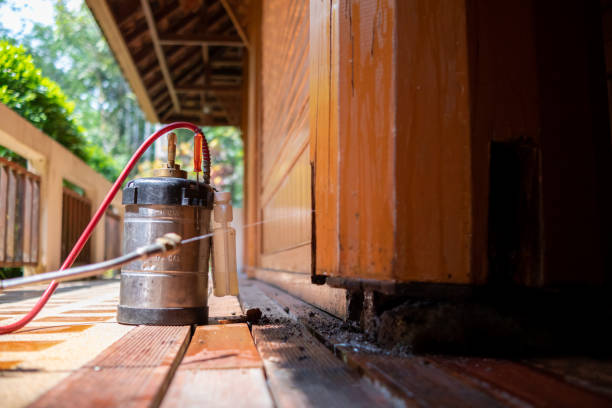 Best Wasp Removal Services  in Benton, KY